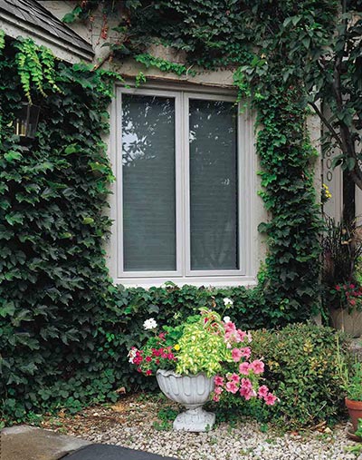 Exterior Casement Window Replacement