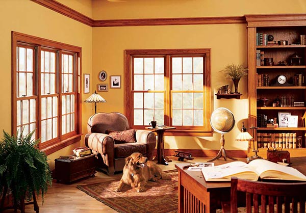 Double Hung Window for Study Room