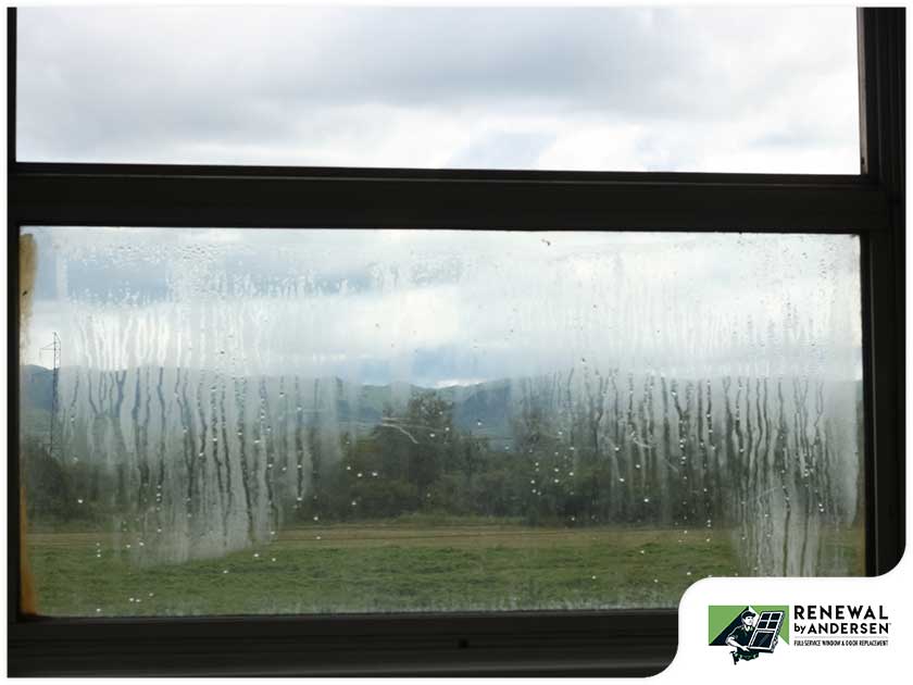 Signs of Failing Window Seals