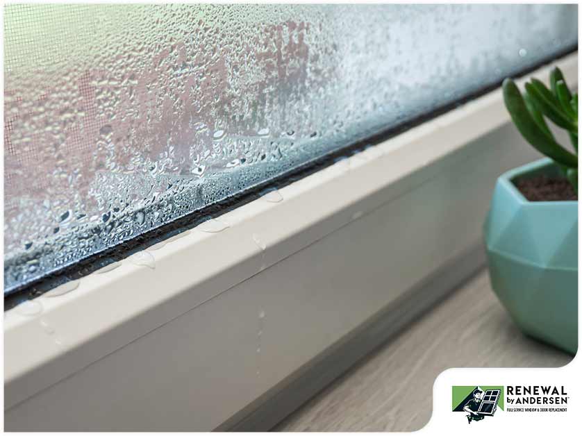 5 Common Signs of Window Seal Failure
